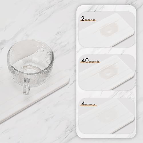 Evory Set of 2 Water Absorbent Diatomite Coasters