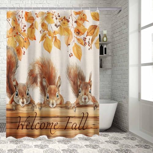 72 Inches Squirrels Fall Wood Ginkgo Shower Curtain Set with 12 Hooks